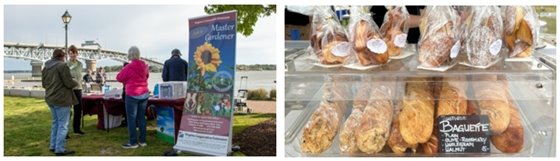 Yorktown Market Days