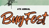 BugFest