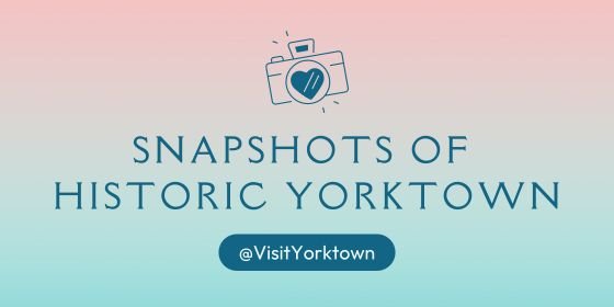 Snapshots of Instagram header