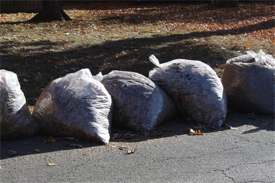 This is an image of bagged leaves
