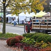 Hay ride at Harvest Festival