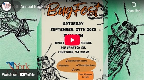 BugFest