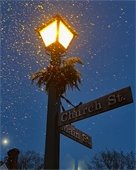 Girl holding a balloon animal