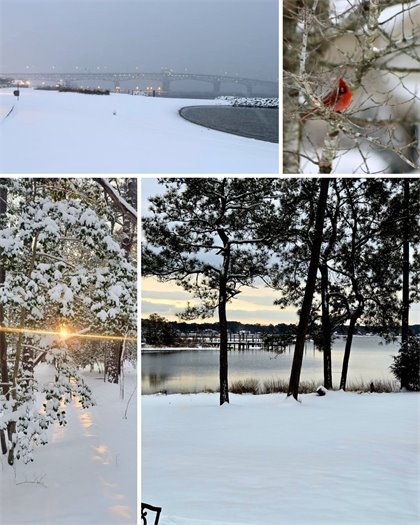 Snow Photos From Facebook