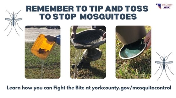 This is an image of tip and toss slide