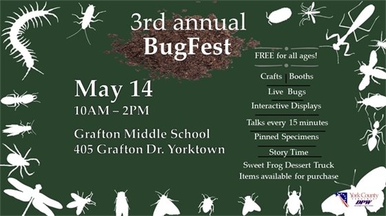This is an image of BugFest slide