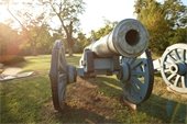 Cannon Demonstrations