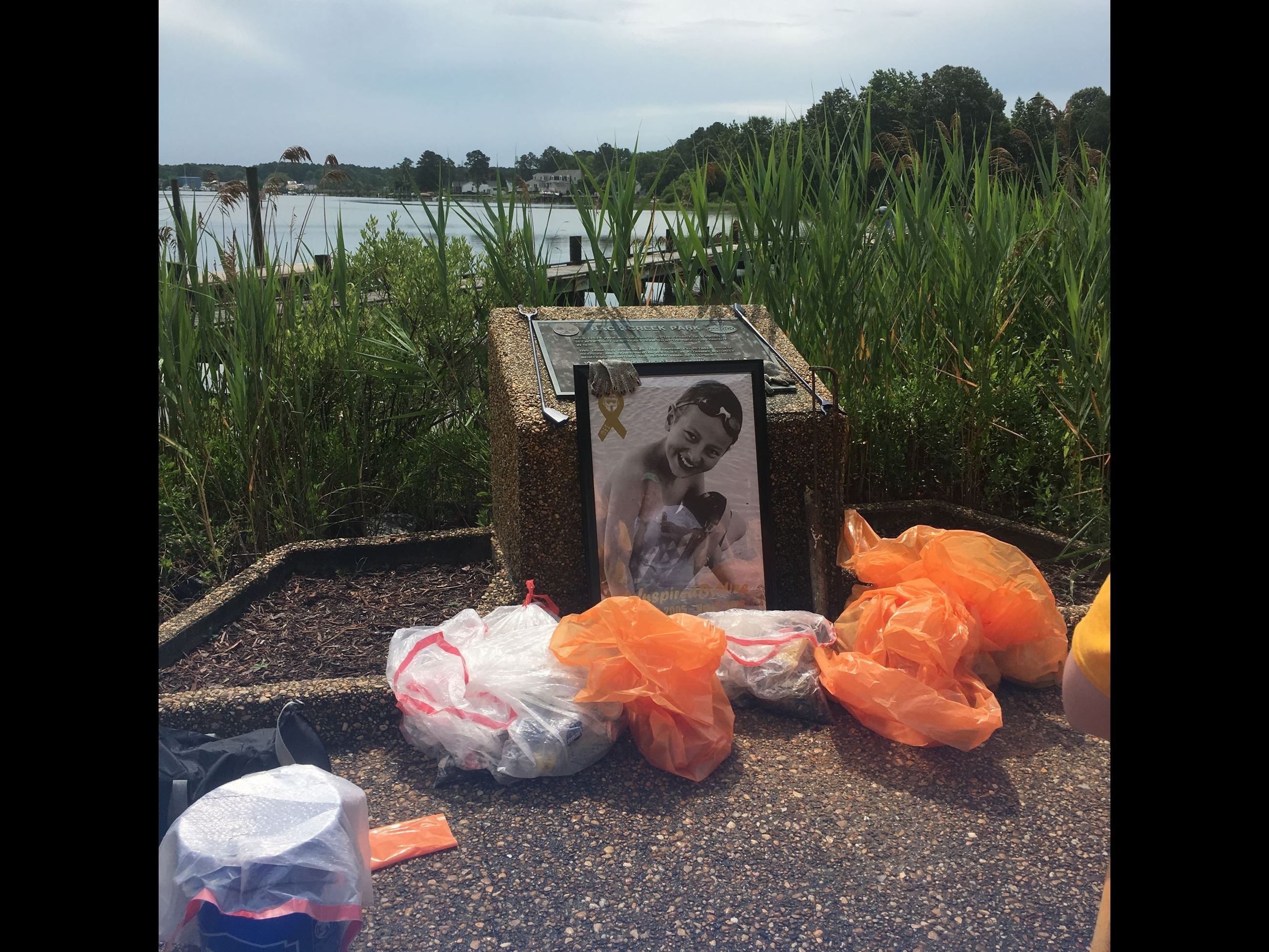 This is an image of a community beach cleanup