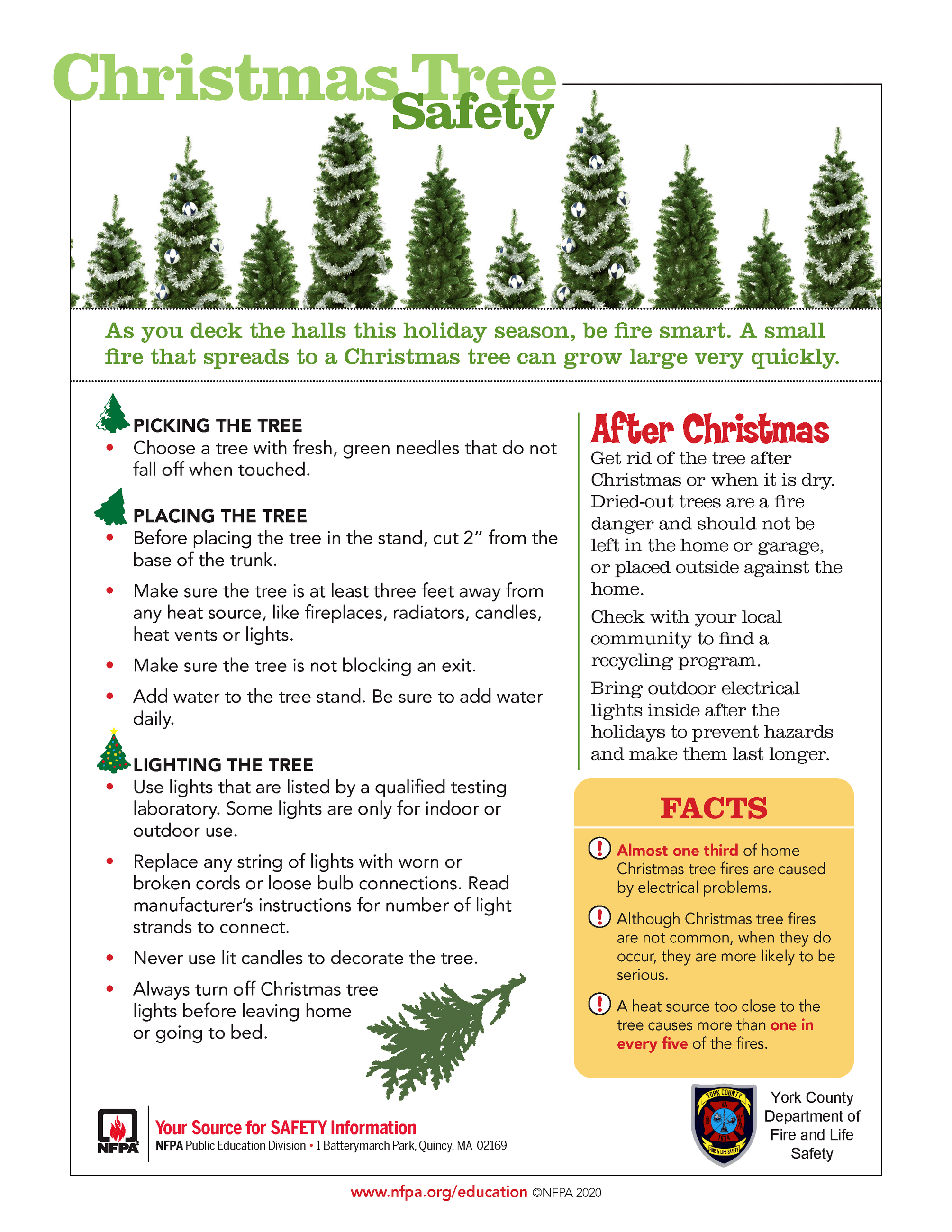 If you use a live Christmas tree, use these tips to stay more fire safe.