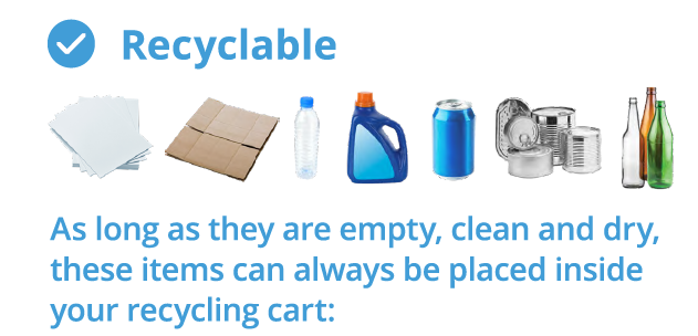 Recyclable Items