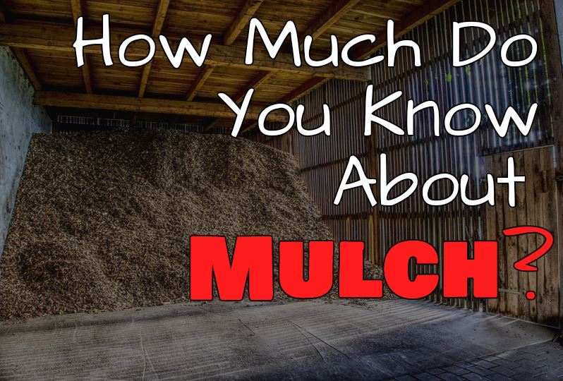Photo Link to Safety Tips on Mulch Fires
